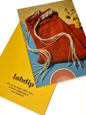 BROCHURE LABDIP